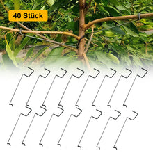 Laden Sie das Bild in den Galerie-Viewer, 🍒Werkzeug zum Formen von Obstbäumen(40 Stück)