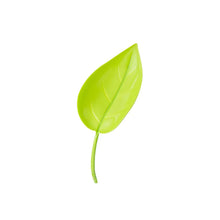 Laden Sie das Bild in den Galerie-Viewer, 🌸🥬Lustige Gießblätter (6 Stück)🥬🌸