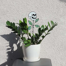 Laden Sie das Bild in den Galerie-Viewer, Frühes Halloween💀Totenkopf-Buntglaspflanze