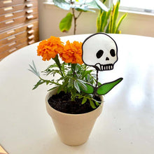 Laden Sie das Bild in den Galerie-Viewer, Frühes Halloween💀Totenkopf-Buntglaspflanze