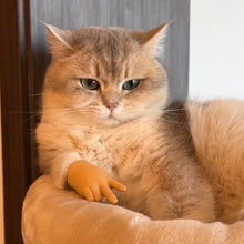 Laden Sie das Bild in den Galerie-Viewer, Lustige Katze Handschuh Spielzeug