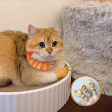 Laden Sie das Bild in den Galerie-Viewer, Lustige Katze Handschuh Spielzeug