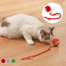 Laden Sie das Bild in den Galerie-Viewer, Interaktiver Ball für Hauskatzen