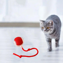 Laden Sie das Bild in den Galerie-Viewer, Interaktiver Ball für Hauskatzen