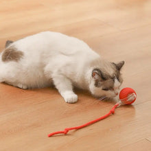 Laden Sie das Bild in den Galerie-Viewer, Interaktiver Ball für Hauskatzen