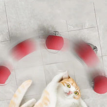 Laden Sie das Bild in den Galerie-Viewer, Interaktiver Ball für Hauskatzen