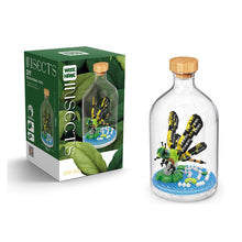 Laden Sie das Bild in den Galerie-Viewer, Mini-Bausteine zur Insektensammlung