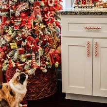 Laden Sie das Bild in den Galerie-Viewer, Weihnachtsknopfabdeckung mit Pfefferminzmotiv