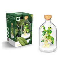 Laden Sie das Bild in den Galerie-Viewer, Mini-Bausteine zur Insektensammlung