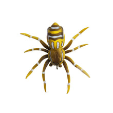 Laden Sie das Bild in den Galerie-Viewer, Schwimmende Spinnenköder