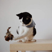 Laden Sie das Bild in den Galerie-Viewer, Katzenspielzeug - Simulierter zwitschernder Vogel