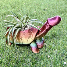 Laden Sie das Bild in den Galerie-Viewer, 3D Lustige Blumentöpfe