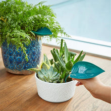 Laden Sie das Bild in den Galerie-Viewer, 🌸🥬Lustige Gießblätter (6 Stück)🥬🌸