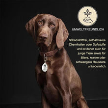 Laden Sie das Bild in den Galerie-Viewer, Ultraschall Floh- und Zecken Repellent