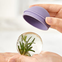 Laden Sie das Bild in den Galerie-Viewer, 🧊Runde Eisform aus Silikon
