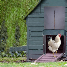 Laden Sie das Bild in den Galerie-Viewer, 🎉Geflügelfarm Automatische Hühnerhaustür