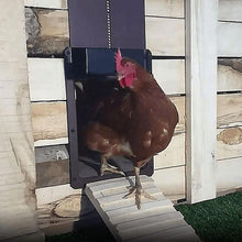 Laden Sie das Bild in den Galerie-Viewer, 🎉Geflügelfarm Automatische Hühnerhaustür