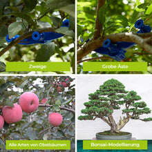 Laden Sie das Bild in den Galerie-Viewer, 🌱🌱Fixateur für Zweigmodellierung