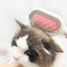 Laden Sie das Bild in den Galerie-Viewer, Haustier Reinigung Haarentfernung Kamm