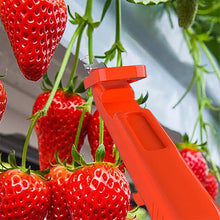 Laden Sie das Bild in den Galerie-Viewer, Effiziente Pfeffersammel Werkzeuge