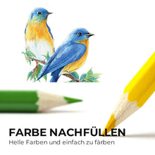 Laden Sie das Bild in den Galerie-Viewer, 🔥Öliges Buntstift-Set---Buntstifte