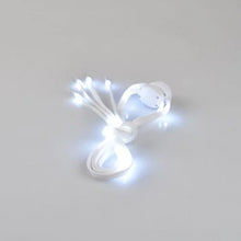 Laden Sie das Bild in den Galerie-Viewer, ✨LED-beleuchtete Schnürsenkel