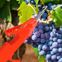 Laden Sie das Bild in den Galerie-Viewer, Effiziente Pfeffersammel Werkzeuge