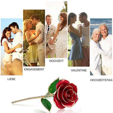 Laden Sie das Bild in den Galerie-Viewer, Blüte Ewige 24K Gold Rose