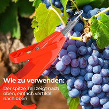 Laden Sie das Bild in den Galerie-Viewer, Effiziente Pfeffersammel Werkzeuge