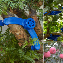 Laden Sie das Bild in den Galerie-Viewer, 🌱🌱Fixateur für Zweigmodellierung