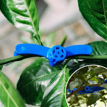 Laden Sie das Bild in den Galerie-Viewer, 🌱🌱Fixateur für Zweigmodellierung