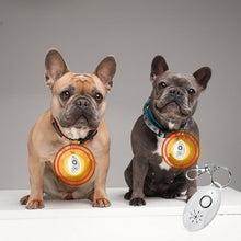 Laden Sie das Bild in den Galerie-Viewer, Ultraschall Floh- und Zecken Repellent