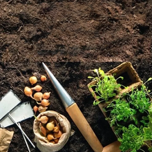 Laden Sie das Bild in den Galerie-Viewer, 🌱Gartenmarker-Freundschaftsgeschenk💕
