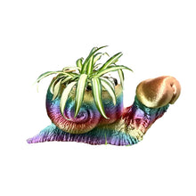 Laden Sie das Bild in den Galerie-Viewer, 3D Lustige Blumentöpfe