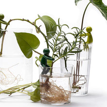 Laden Sie das Bild in den Galerie-Viewer, Niedliche praktische Pflanzenunterstützungsfigur

