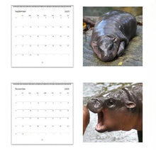 Laden Sie das Bild in den Galerie-Viewer, Moo Deng Kalender | Kalender 2025
