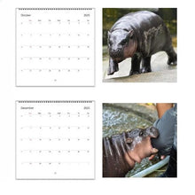 Laden Sie das Bild in den Galerie-Viewer, Moo Deng Kalender | Kalender 2025

