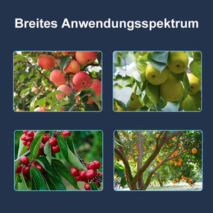 🍒Werkzeug zum Formen von Obstbäumen（40 Stück）
