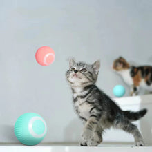 Laden Sie das Bild in den Galerie-Viewer, Intelligenter Elektrischer Selbstrollender Katzenspielzeugball
