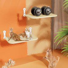 Laden Sie das Bild in den Galerie-Viewer, Faltbare Katzenhängematte
