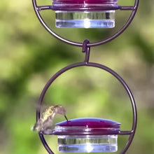Laden Sie das Bild in den Galerie-Viewer, Einfacher Kolibri-Wasserspender aus Metall
