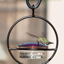 Laden Sie das Bild in den Galerie-Viewer, Einfacher Kolibri-Wasserspender aus Metall
