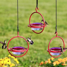 Laden Sie das Bild in den Galerie-Viewer, Einfacher Kolibri-Wasserspender aus Metall
