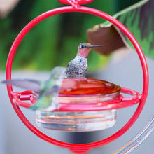 Laden Sie das Bild in den Galerie-Viewer, Einfacher Kolibri-Wasserspender aus Metall
