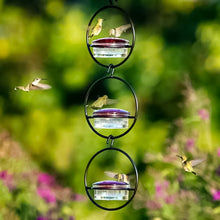 Laden Sie das Bild in den Galerie-Viewer, Einfacher Kolibri-Wasserspender aus Metall
