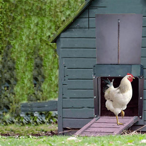🎉Geflügelfarm Automatische Hühnerhaustür