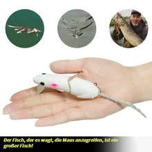 Laden Sie das Bild in den Galerie-Viewer, Guter Helfer für Angler - Mäuseköder
