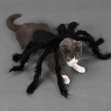 Laden Sie das Bild in den Galerie-Viewer, Spinnenkostüm für Haustiere
